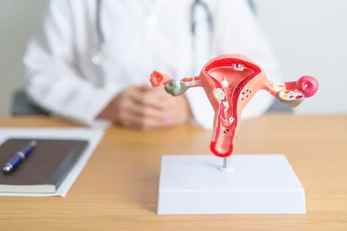 What Your Cervix Actually Does During Your Cycle