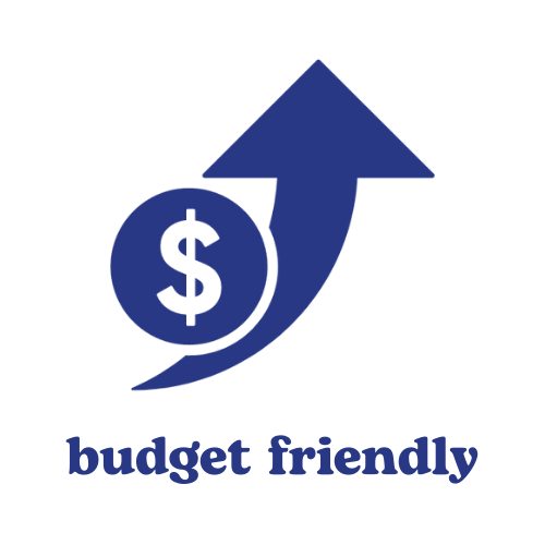 menstrual disc save money