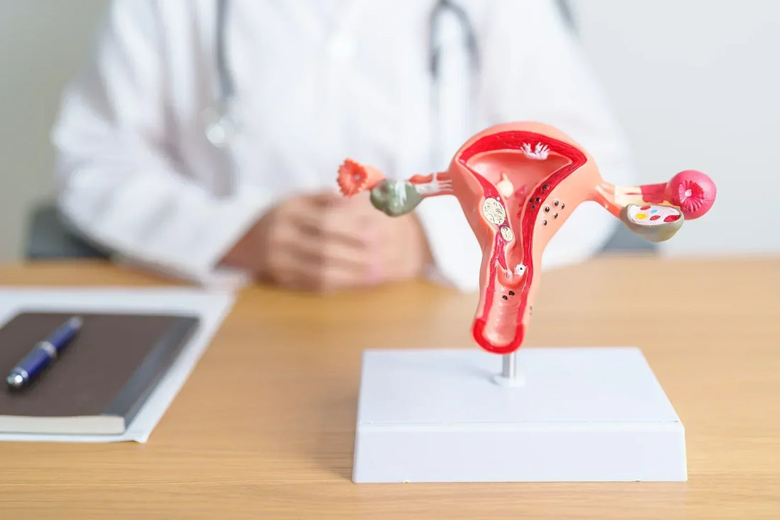 What Your Cervix Actually Does During Your Cycle